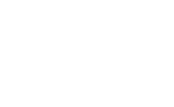 The Healing Village, Inc. Center for Vitality Medicine