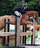 Book an Appointment with Marisa Henry at Equine: Rise Animal Wellness and Rehabilitation