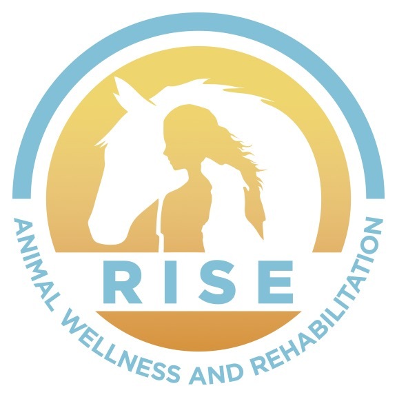 Rise Animal Wellness and Rehabilitation