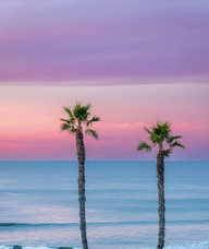 Book an Appointment with Stacy Bright for IV Hydration Drips