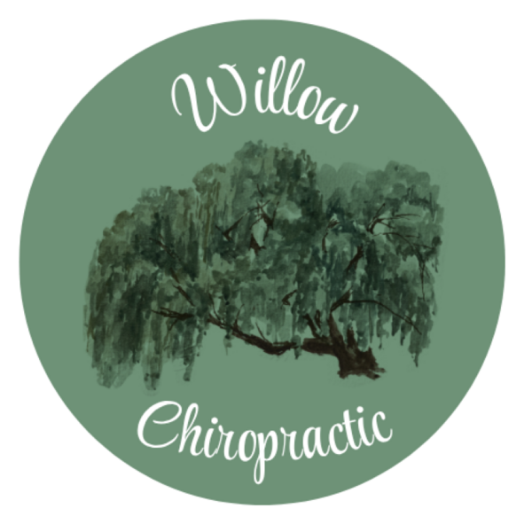 Willow Chiropractic LLC